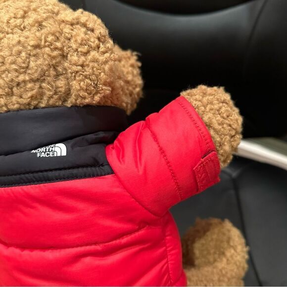 NWT The North Face Teddy Bear 30th Anniversary Red Nupste Jacket Very Rare - Picture 4 of 10